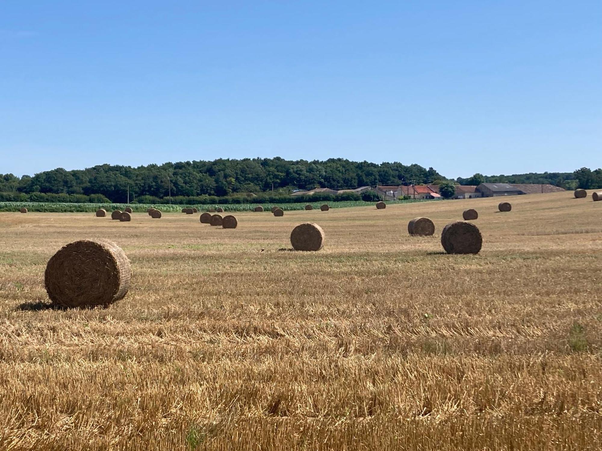 Apartmán Les Ganivelles Saint-Dizant-du-Gua Exteriér fotografie